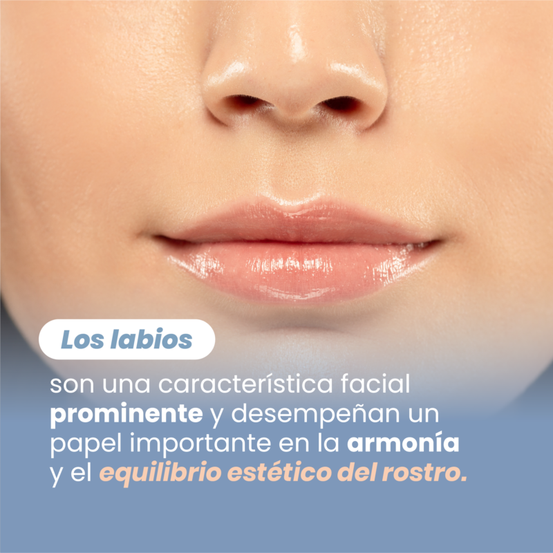 cómo lucir unos labios con buen volumen y forma